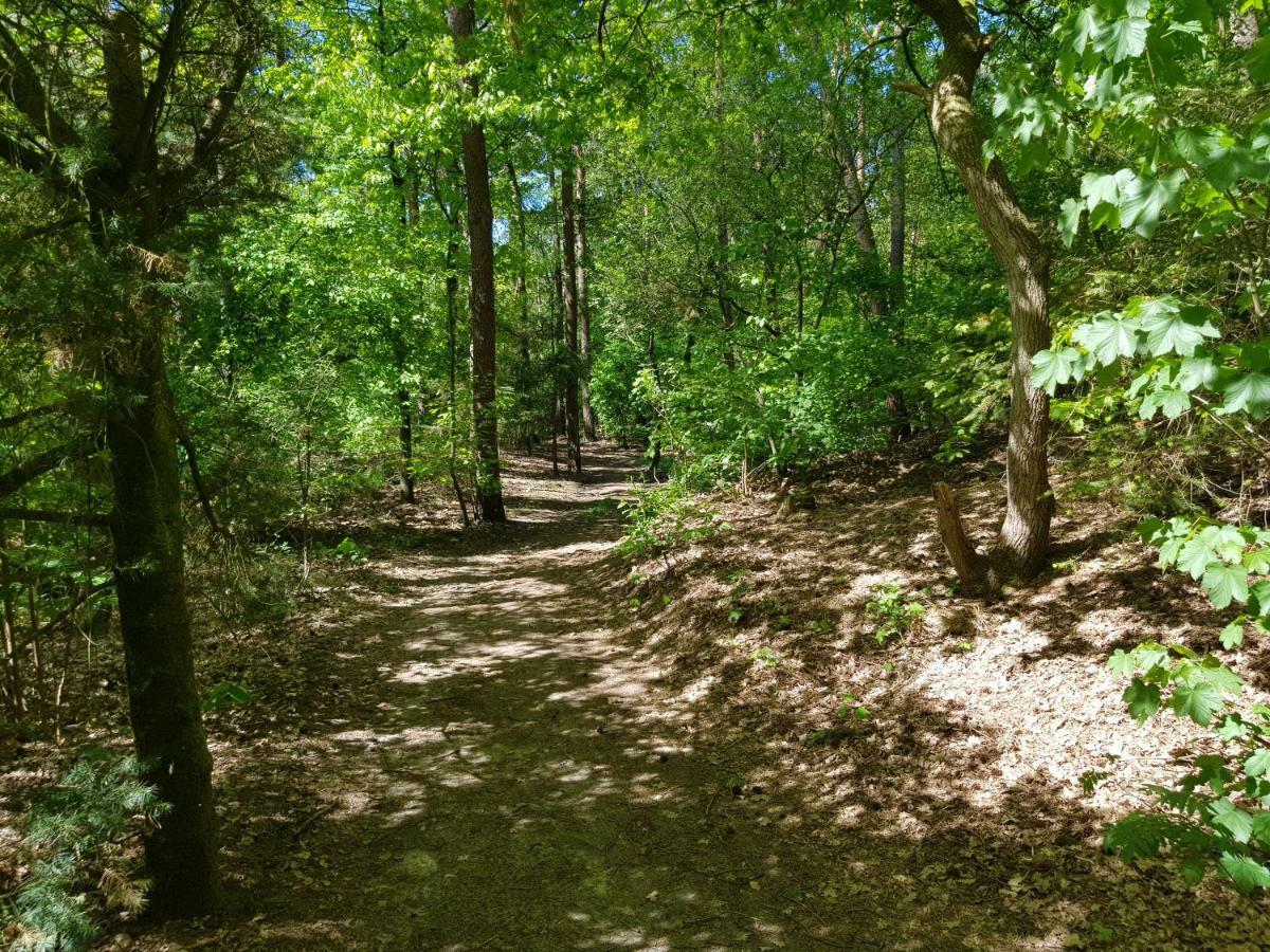 Bungalow Hartje Veluwe Otterlo Buitenkant foto