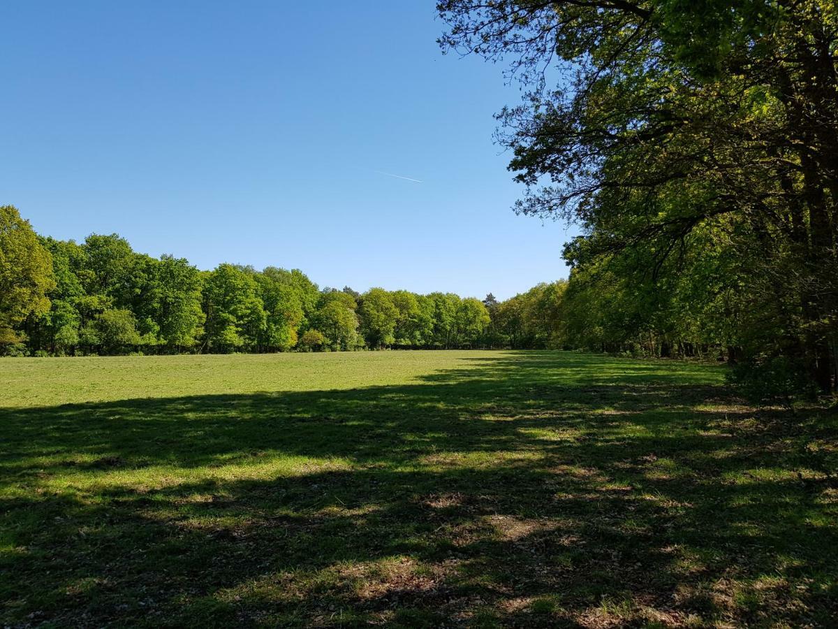 Bungalow Hartje Veluwe Otterlo Buitenkant foto