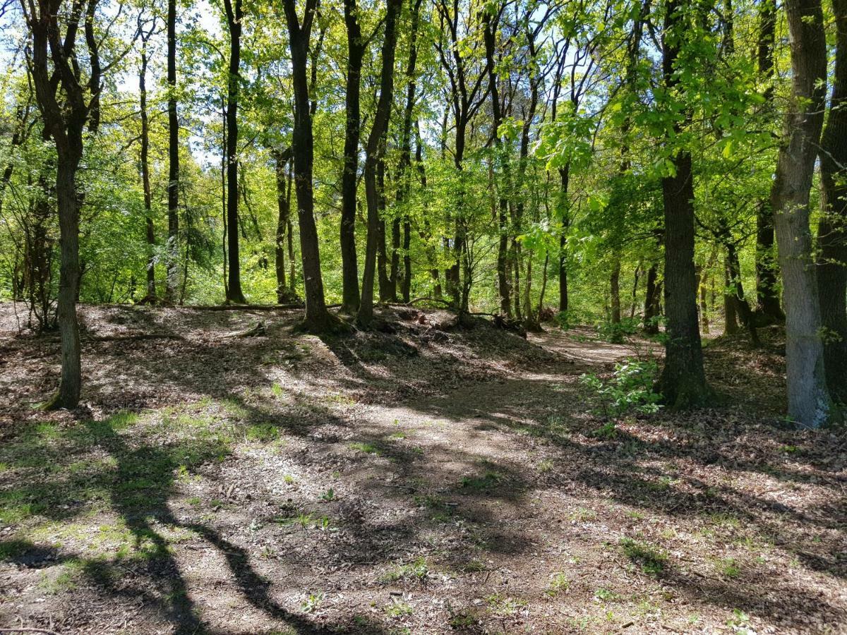 Bungalow Hartje Veluwe Otterlo Buitenkant foto