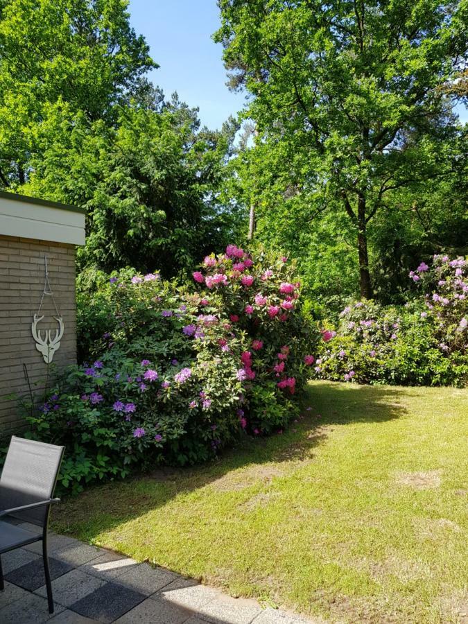 Bungalow Hartje Veluwe Otterlo Buitenkant foto