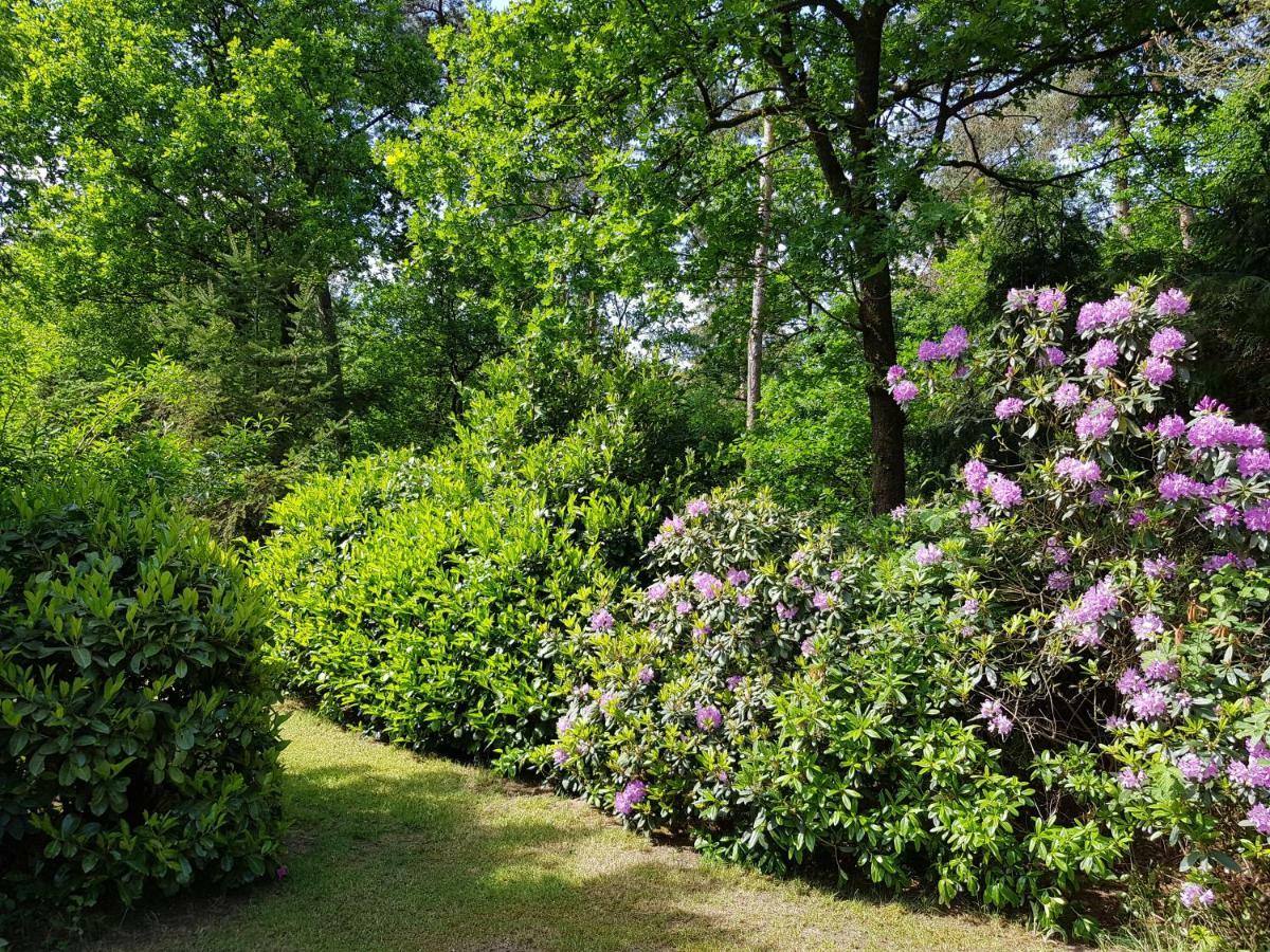 Bungalow Hartje Veluwe Otterlo Buitenkant foto