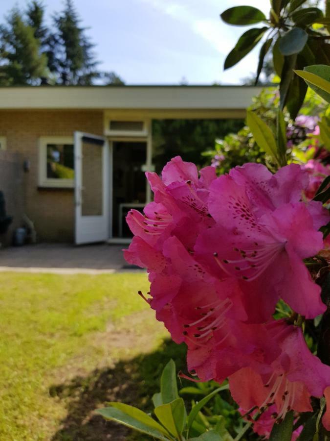 Bungalow Hartje Veluwe Otterlo Buitenkant foto